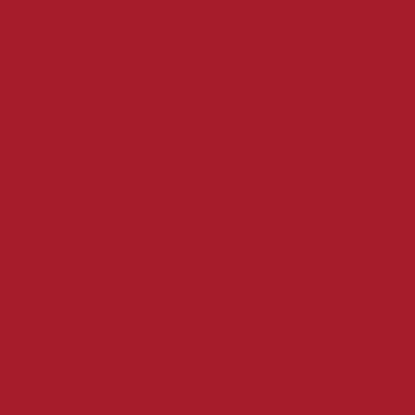Servet 33 x 33 cm 2 laags rood 125 stuks opdienen