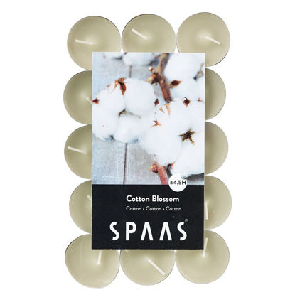 Theelicht Cotton Blossom 4.5 h 30 stuks