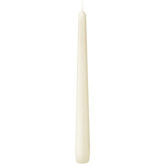 Gotische kaars Bolsius ivoor, 240mm x Ø23mm, 7h