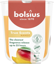 Bolsius geurglas 80/73 True Scent Mango 25h
